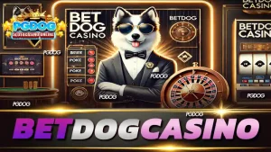 BETDOG casino