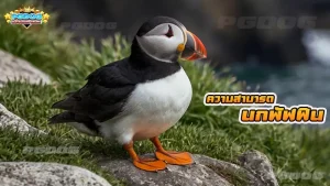 ความสามารถ นกพัฟฟิน