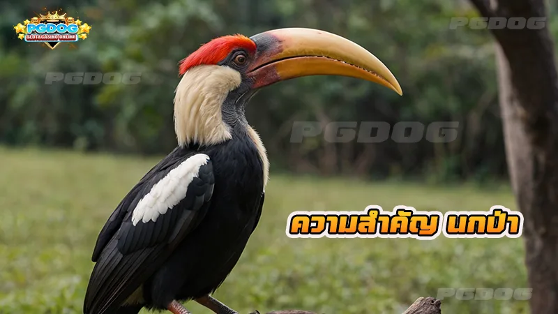 ความสำคัญ นกป่า