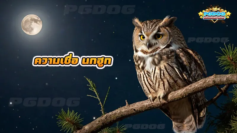 ความเชื่อ นกฮูก