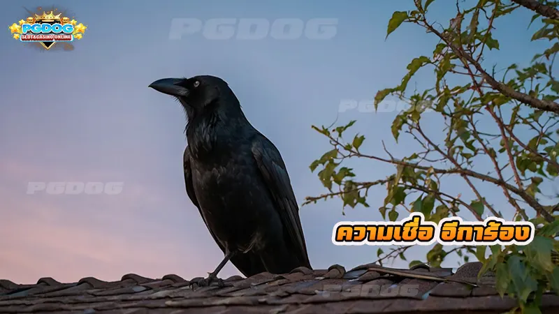 ความเชื่อ อีการ้อง