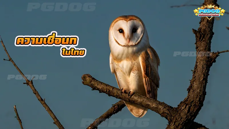 ความเชื่อนก ในไทย