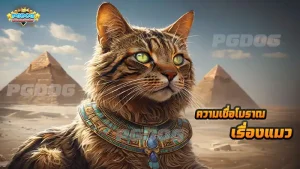 ความเชื่อโบราณ เรื่องแมว