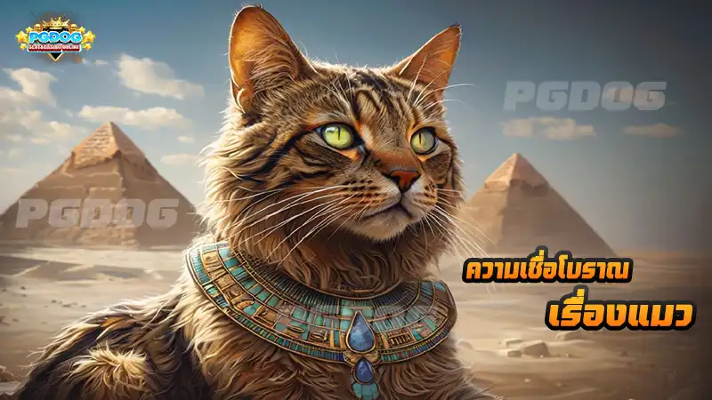 ความเชื่อโบราณ เรื่องแมว