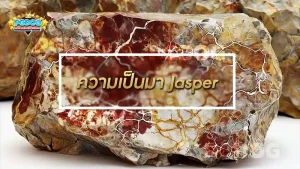 ความเป็นมา Jasper