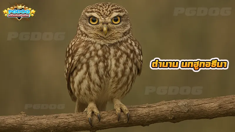 ตำนาน นกฮูกอธีนา