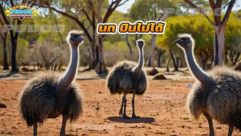 นก บินไม่ได้