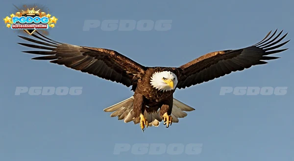 นก ไม่นิยมเลี้ยง