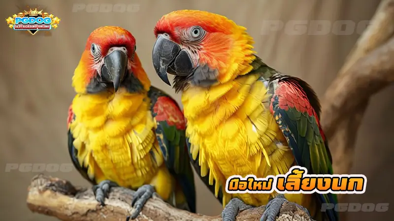 มือใหม่ เลี้ยงนก