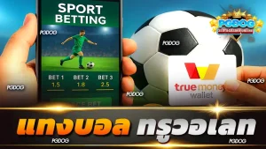 แทงบอล ทรูวอเลท