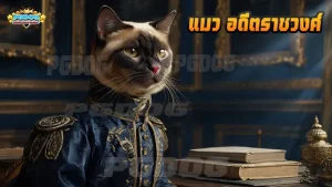 แมว อดีตราชวงศ์