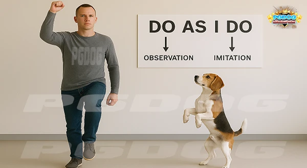 พฤติกรรม เลียนแบบ ของสุนัข