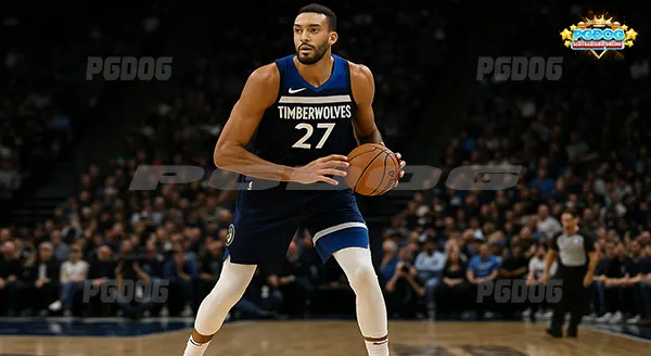 เซนเตอร์ รูดี้ โกแบร์