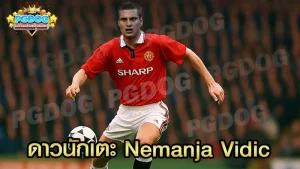 ดาวนักเตะ Nemanja Vidic