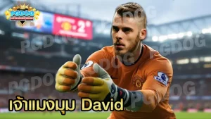 เจ้าแมงมุม David