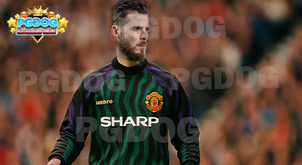 เจ้าแมงมุม David