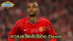 ความรวดเร็วของ David