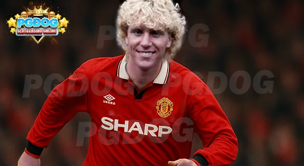 ความแข็งแกร่งของ Scott