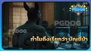 ทำไมถึงเรียกว่า บัญชีม้า