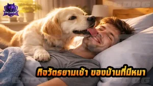 กิจวัตรยามเช้า ของบ้านที่มีหมา