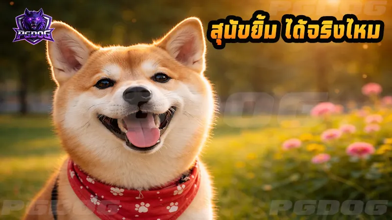 สุนัขยิ้ม ได้จริงไหม