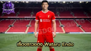 เรื่องราวของ Wataru Endo