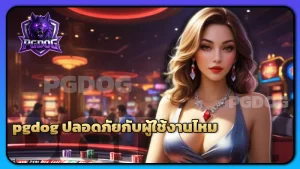 pgdog ปลอดภัยกับผู้ใช้งานไหม