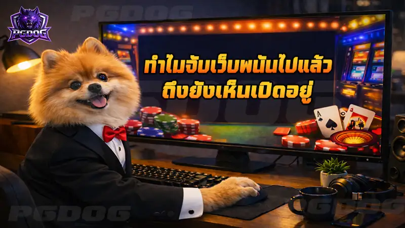 ทำไมจับเว็บพนันไปแล้ว ถึงยังเห็นเปิดอยู่