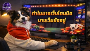 ทำไมบางเว็บโดนปิด บางเว็บยังอยู่