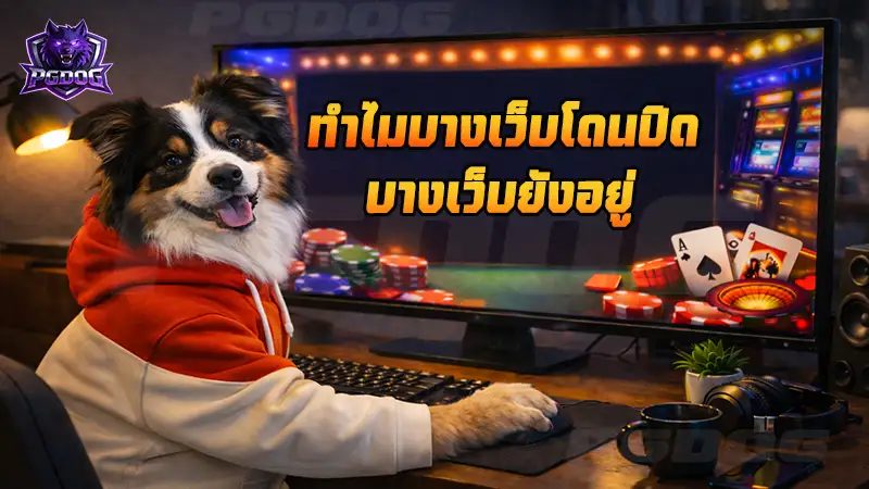 ทำไมบางเว็บโดนปิด บางเว็บยังอยู่