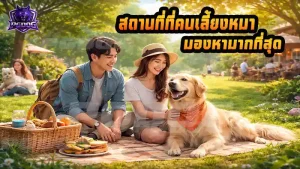 สถานที่ที่คนเลี้ยงหมา มองหามากที่สุด