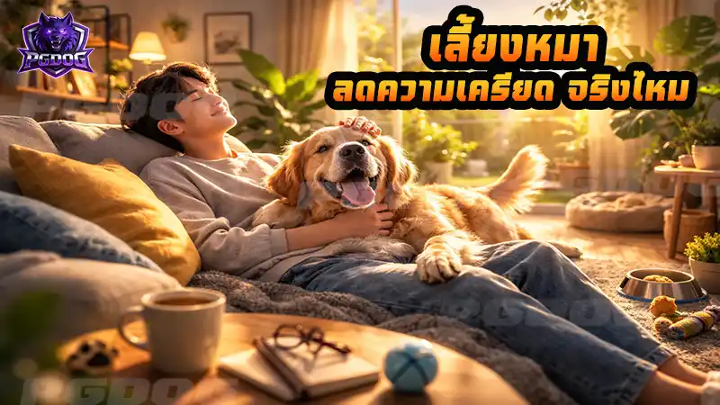 เลี้ยงหมา ลดความเครียด จริงไหม