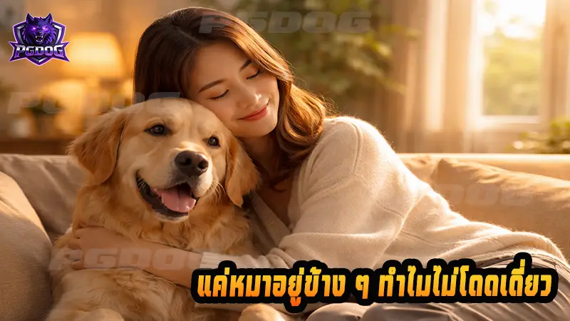แค่หมาอยู่ข้าง ๆ ทำไมไม่โดดเดี่ยว