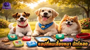 แอปที่คนเลี้ยงหมา มักโหลด
