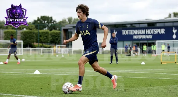 Bryan Gil เล่นในตำแหน่งอะไร