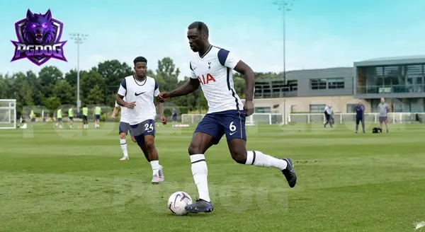 Davinson Sanchez เขาคือใคร