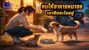 คนให้อาหารหมาจร เขาคิดอะไรอยู่