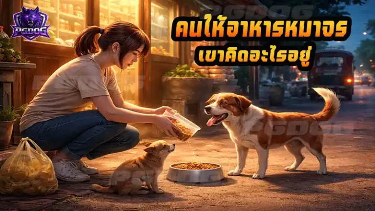 คนให้อาหารหมาจร เขาคิดอะไรอยู่