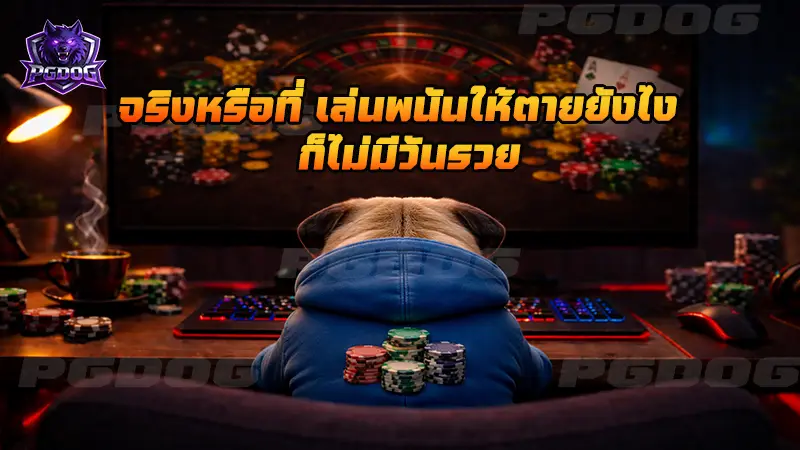 จริงหรือที่ เล่นพนันให้ตายยังไง ก็ไม่มีวันรวย