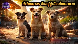 ทำไมหมาจร ถึงอยู่คู่เมืองไทยมานาน