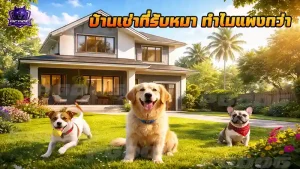 บ้านเช่าที่รับหมา ทำไมแพงกว่า