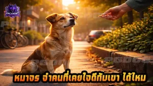 หมาจร จำคนที่เคยใจดีกับเขา ได้ไหม