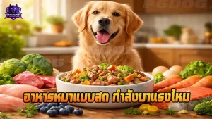อาหารหมาแบบสด กำลังมาแรงไหม
