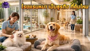 โรงแรมหมา เป็นธุรกิจ ที่คุ้มไหม